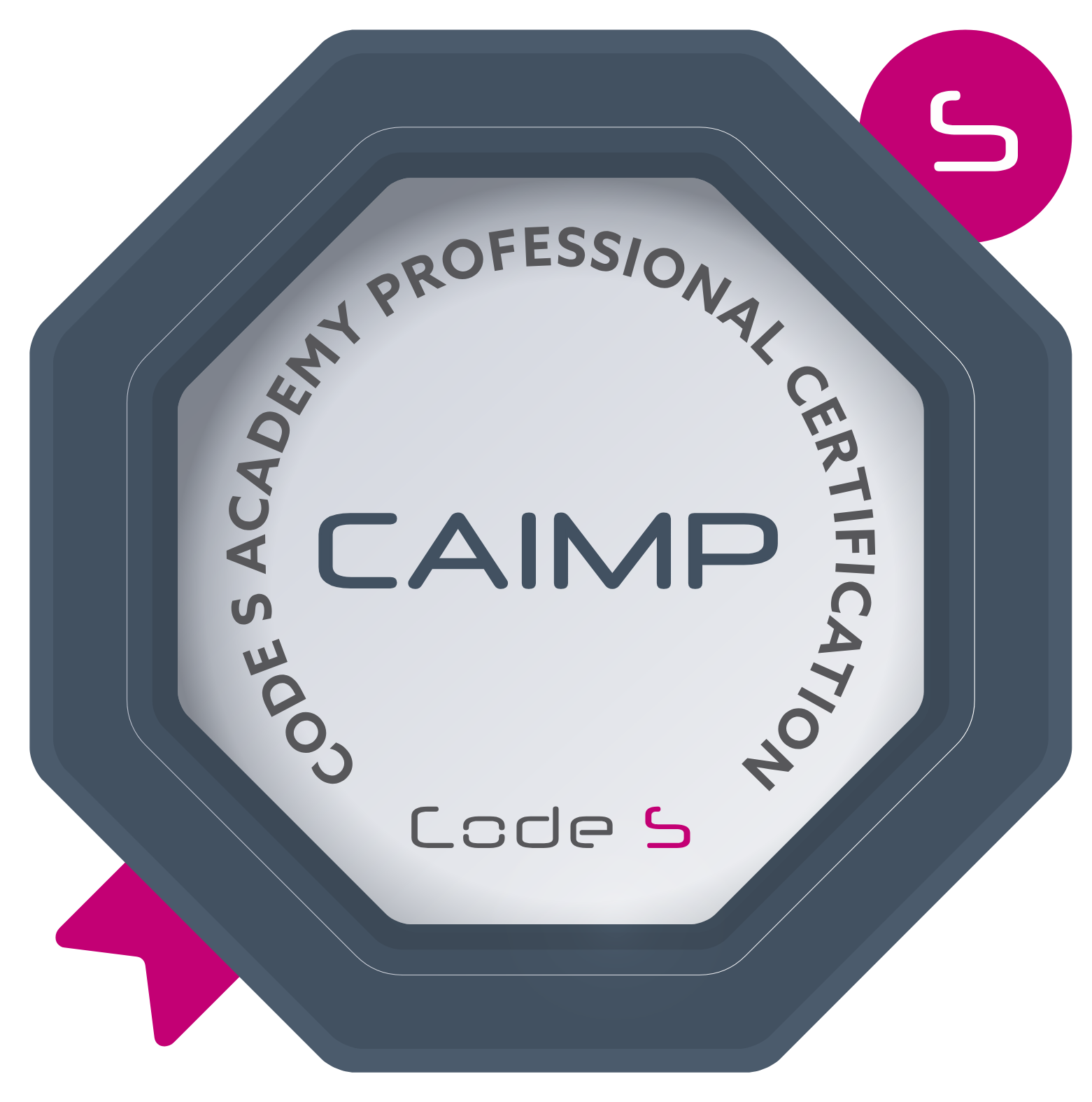 Certified AI Management Professional CAIMP